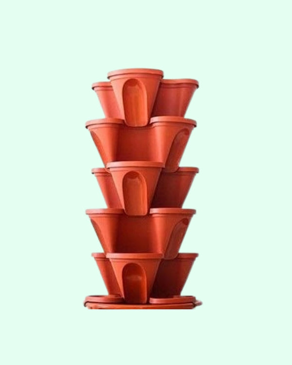 Caja 36 macetas trebol + rejillas autoriego