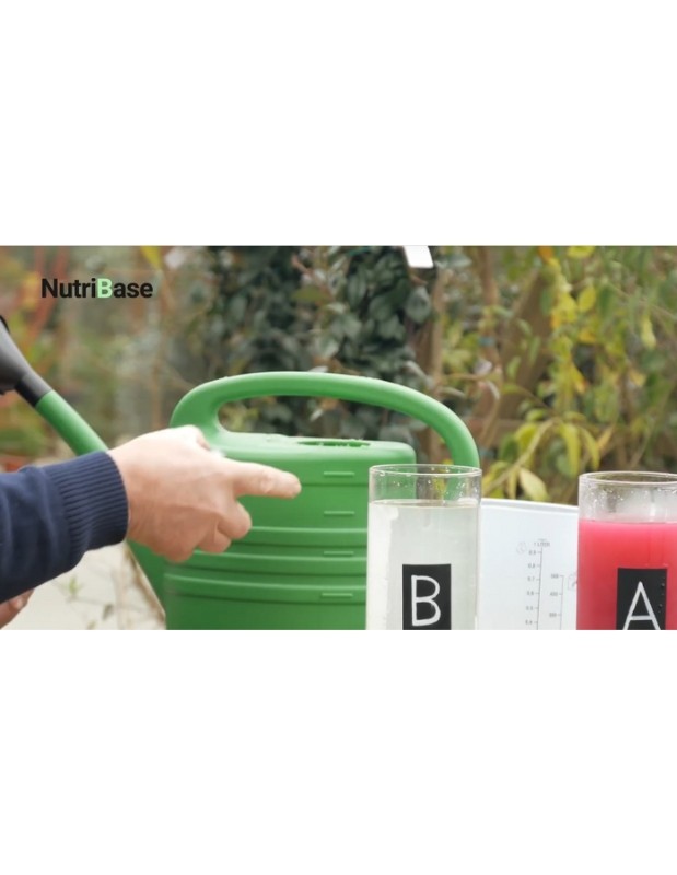 Fertilizante en polvo hidropónico Nutribase